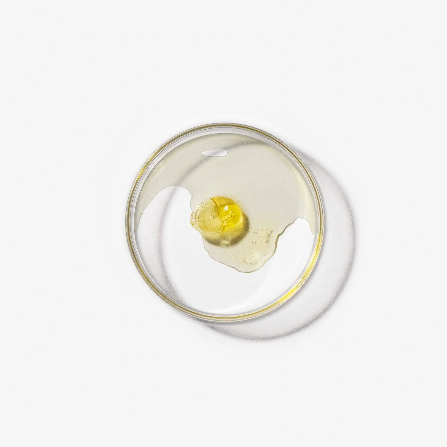 BALANCE / 30 mg per Full Spectrum C*D Capsule - Image 4